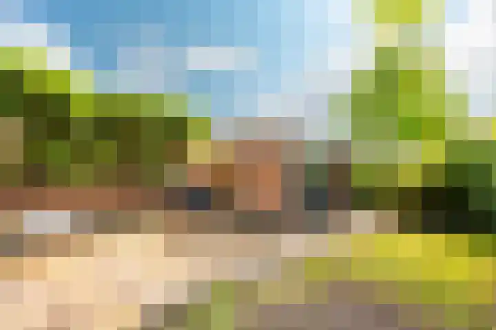 Hollemarestraat 55 Zwartewaal thumbnail 7