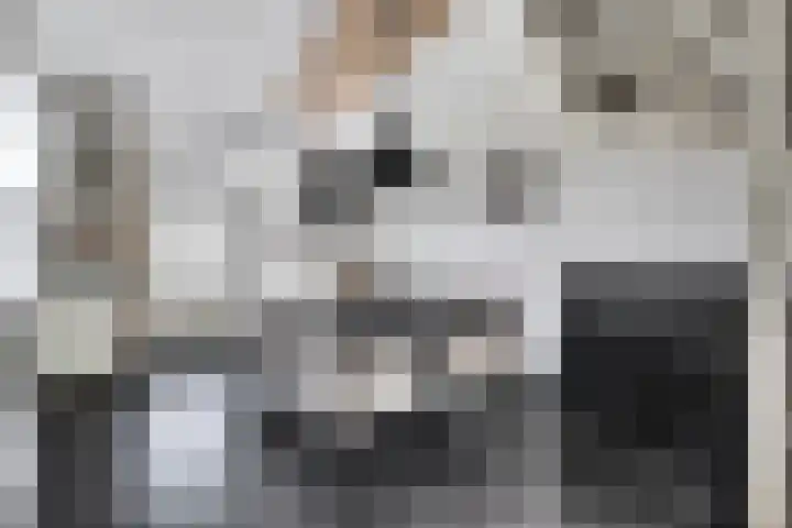 Hollemarestraat 66 Zwartewaal thumbnail 10