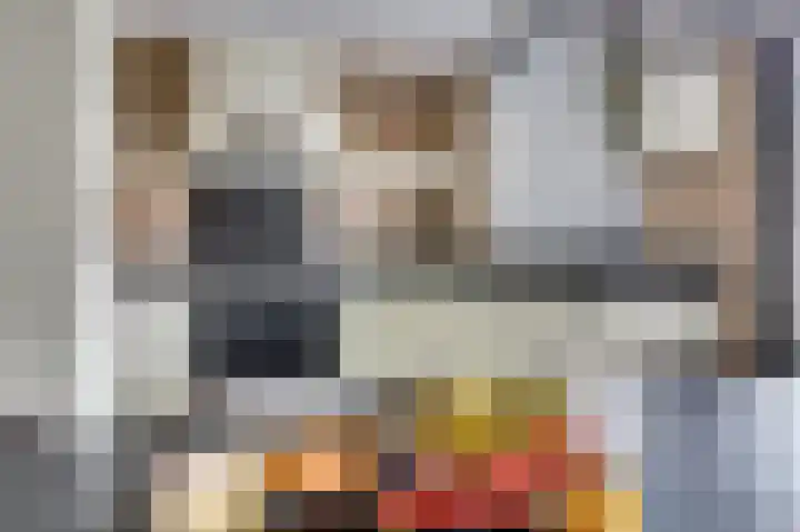 Hollemarestraat 66 Zwartewaal thumbnail 11