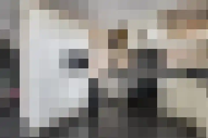 Hollemarestraat 66 Zwartewaal thumbnail 14
