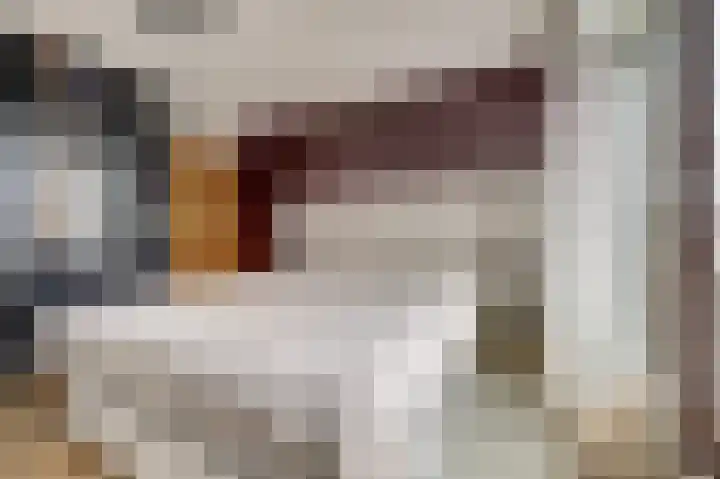 Hollemarestraat 66 Zwartewaal thumbnail 17