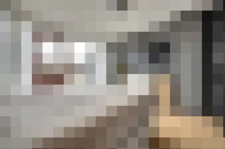 Hollemarestraat 66 Zwartewaal thumbnail 18