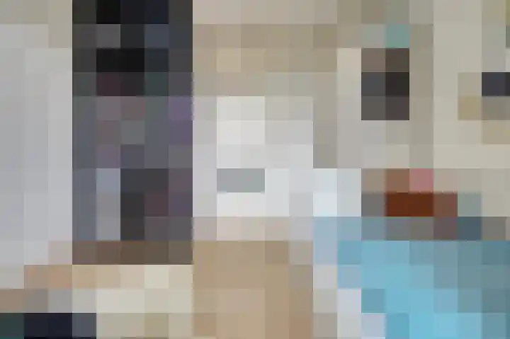Hollemarestraat 66 Zwartewaal thumbnail 20