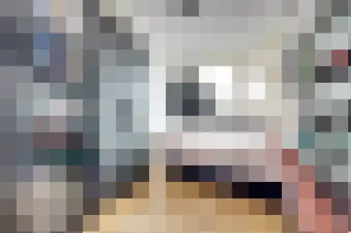 Hollemarestraat 66 Zwartewaal thumbnail 21