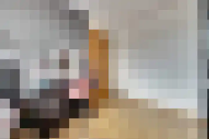 Hollemarestraat 66 Zwartewaal thumbnail 22