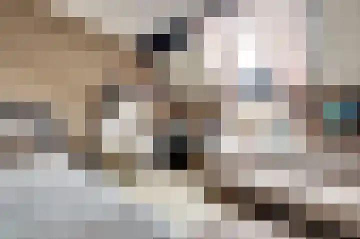 Hollemarestraat 66 Zwartewaal thumbnail 24