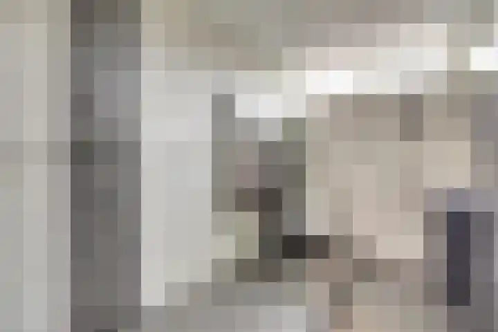 Hollemarestraat 66 Zwartewaal thumbnail 25