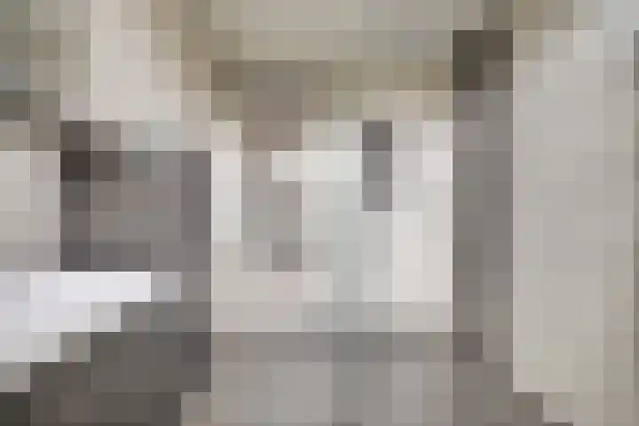 Hollemarestraat 66 Zwartewaal thumbnail 26