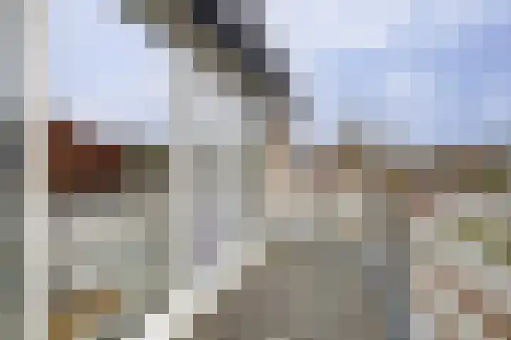 Hollemarestraat 66 Zwartewaal thumbnail 29