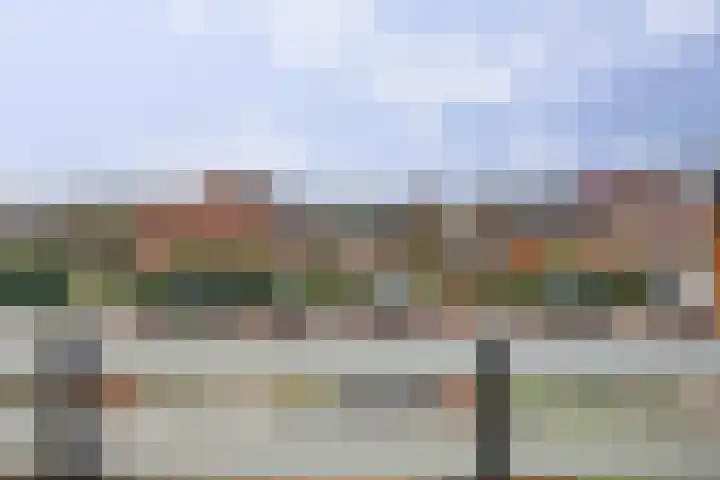 Hollemarestraat 66 Zwartewaal thumbnail 30