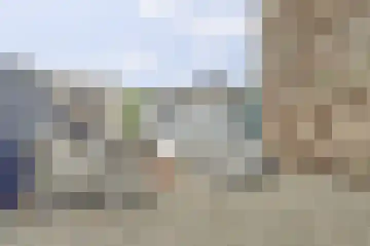 Hollemarestraat 66 Zwartewaal thumbnail 31