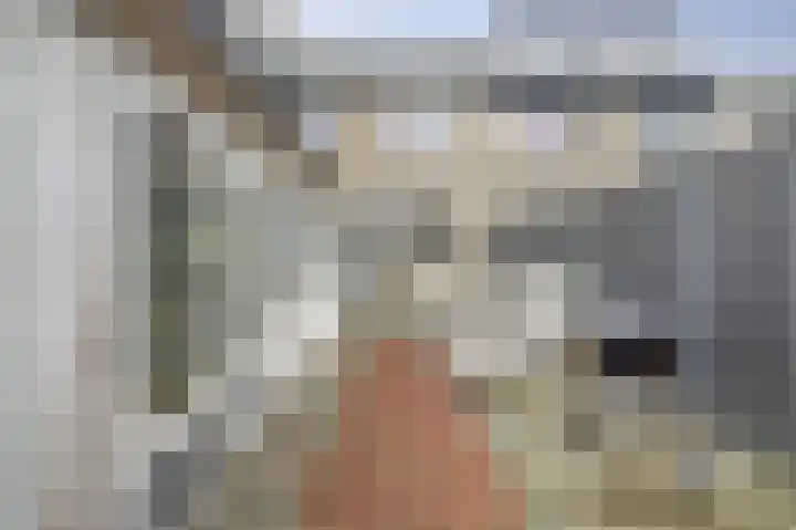 Hollemarestraat 66 Zwartewaal thumbnail 32