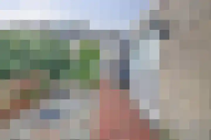 Hollemarestraat 66 Zwartewaal thumbnail 33