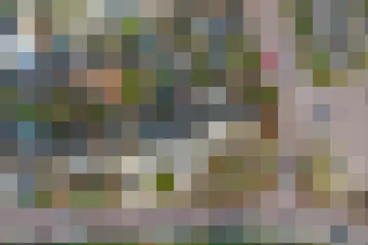 Hollemarestraat 66 Zwartewaal thumbnail 35