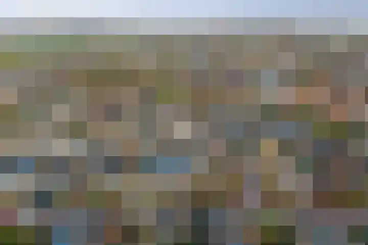 Hollemarestraat 66 Zwartewaal thumbnail 36