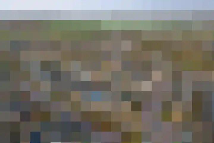 Hollemarestraat 66 Zwartewaal thumbnail 37
