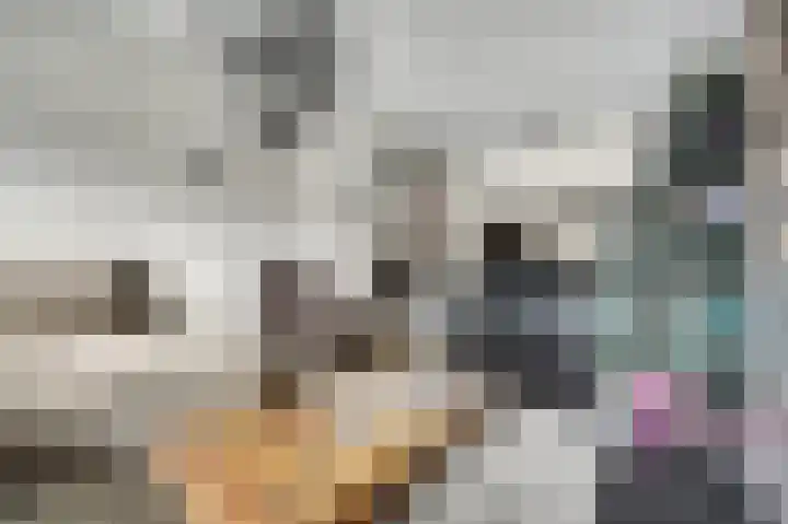 Hollemarestraat 66 Zwartewaal thumbnail 7