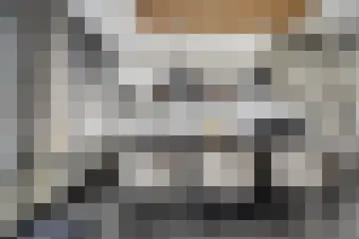 Hollemarestraat 66 Zwartewaal thumbnail 9