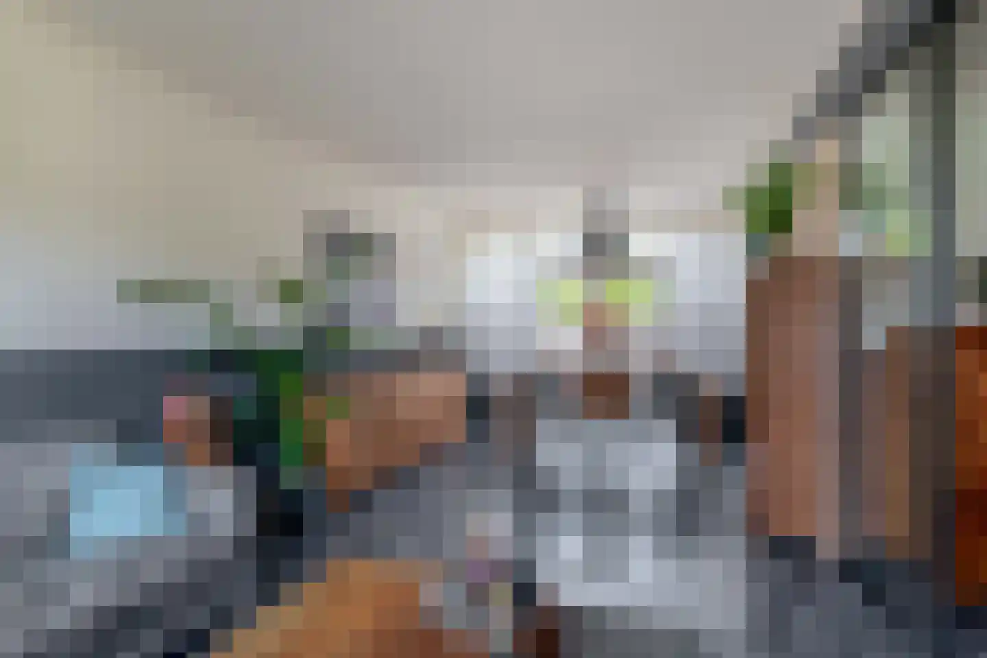Hollemarestraat 96 Zwartewaal thumbnail 14