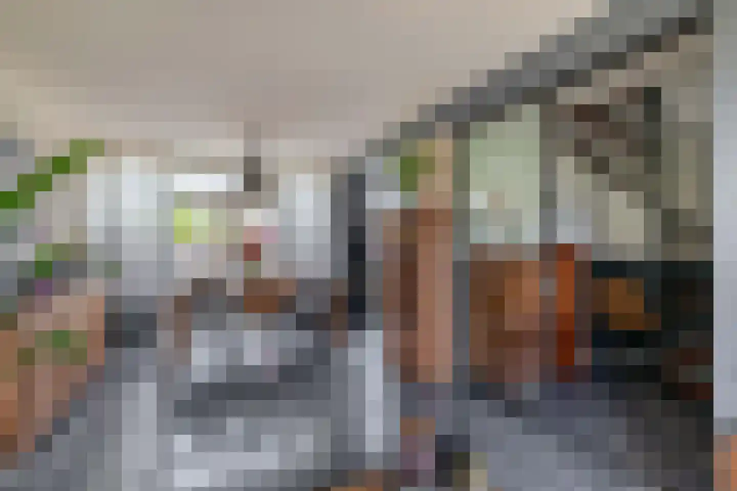 Hollemarestraat 96 Zwartewaal thumbnail 15