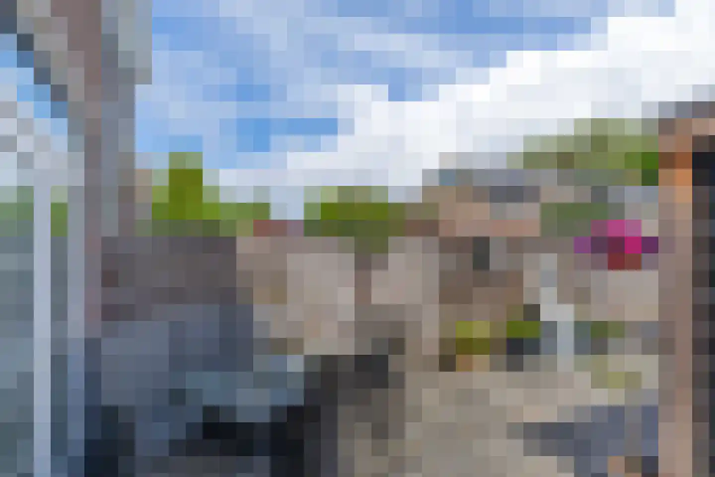 Hollemarestraat 96 Zwartewaal thumbnail 36