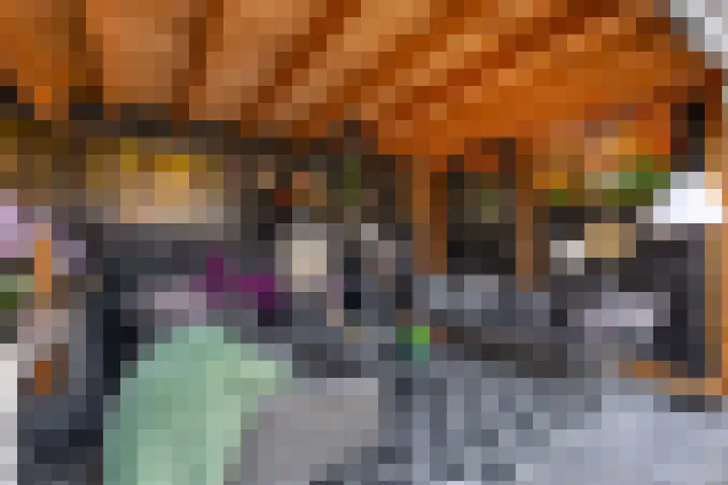 Hollemarestraat 96 Zwartewaal thumbnail 38