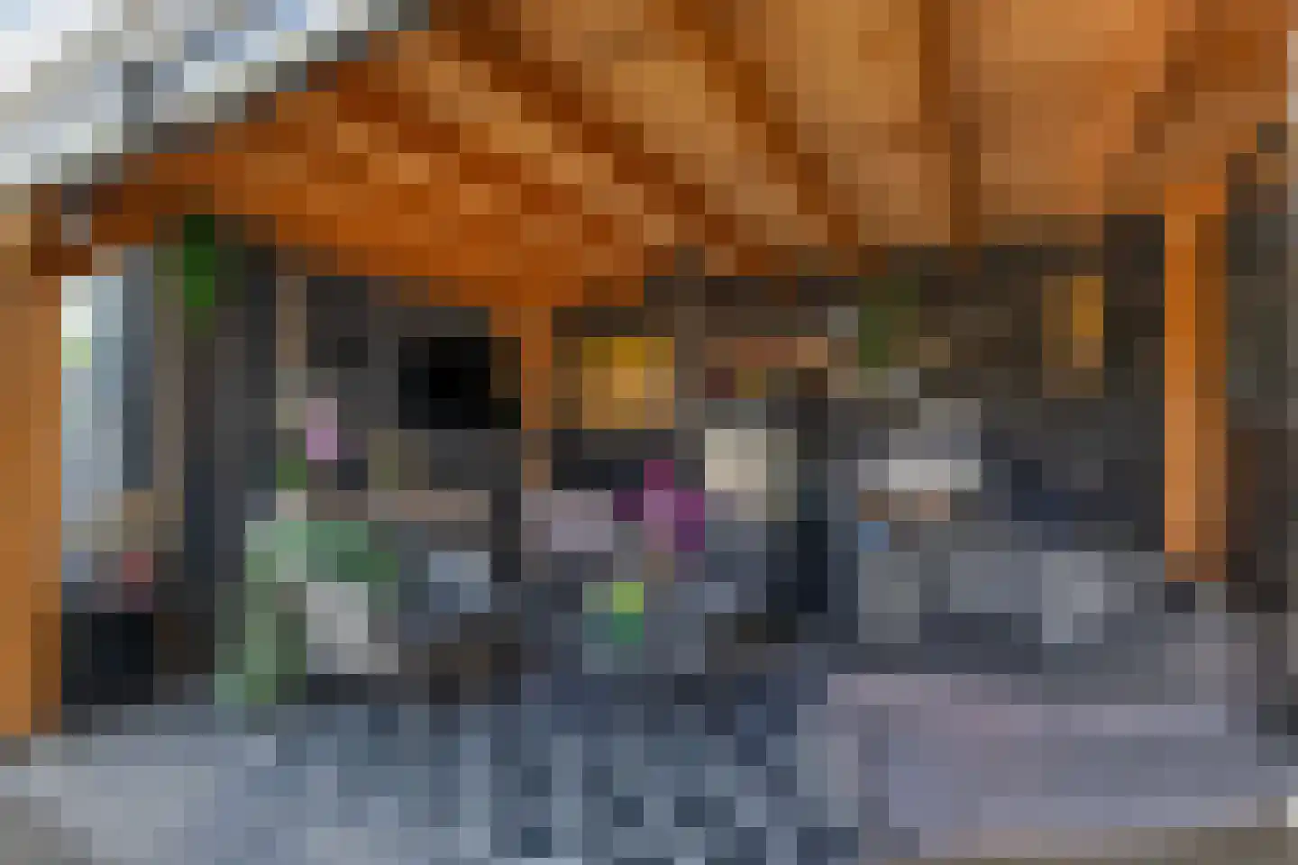 Hollemarestraat 96 Zwartewaal thumbnail 39