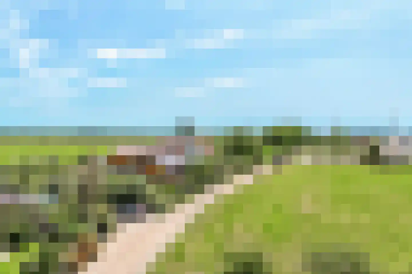 Hollendewagenweg 15 a Werkhoven thumbnail 4
