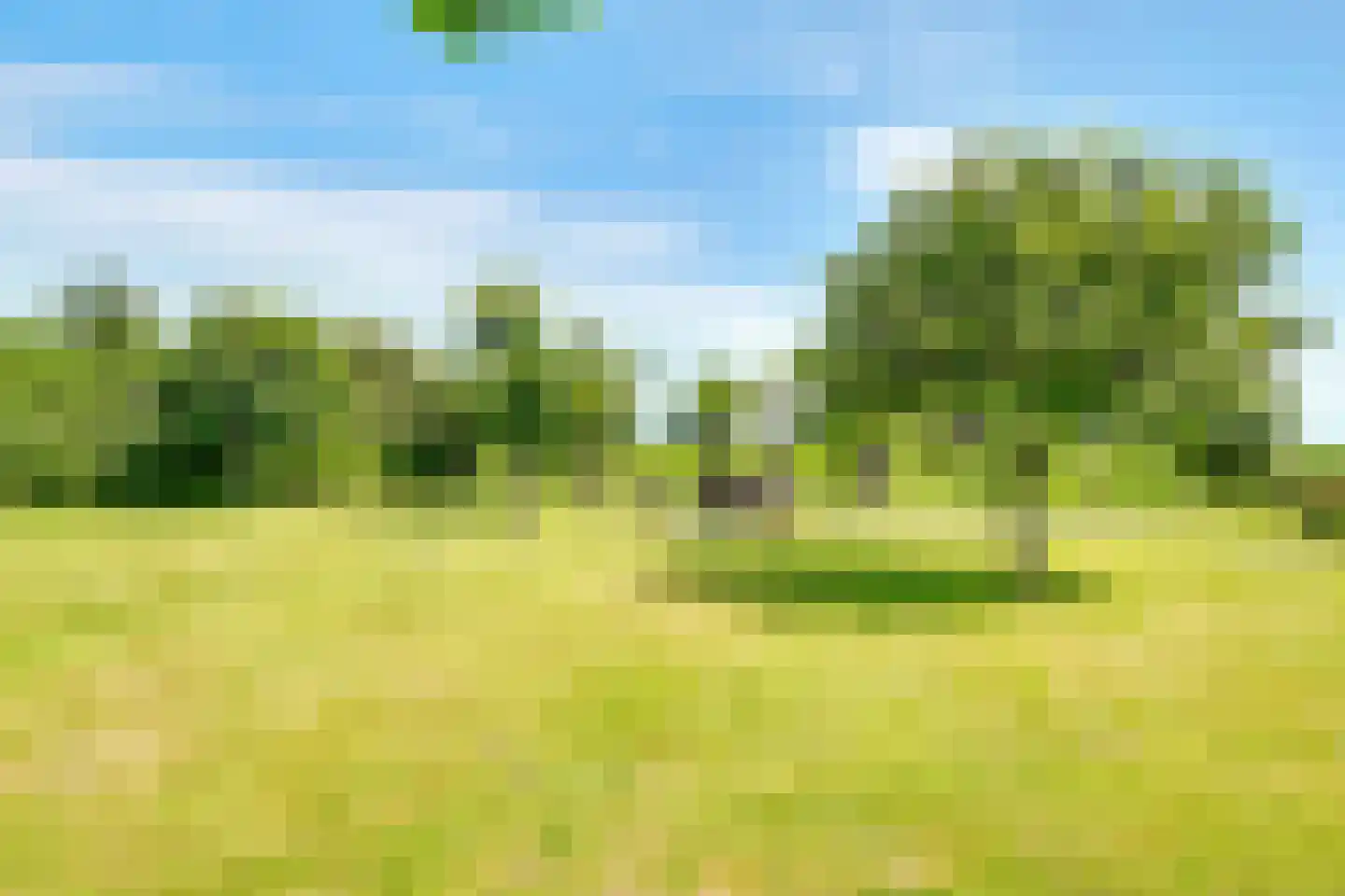 Hollendewagenweg 15 a Werkhoven thumbnail 62