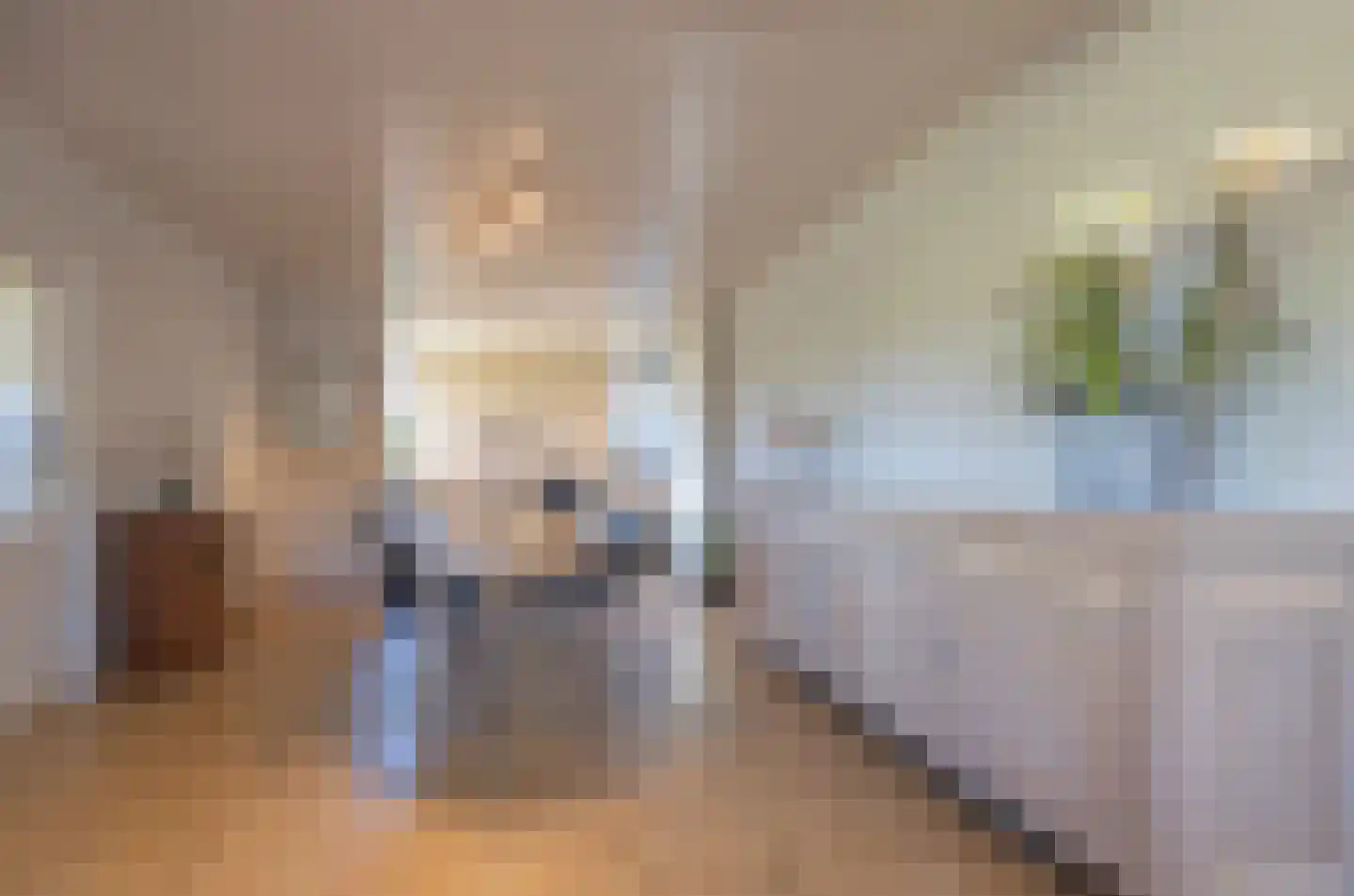 Holleneind 3 Haaren thumbnail 11