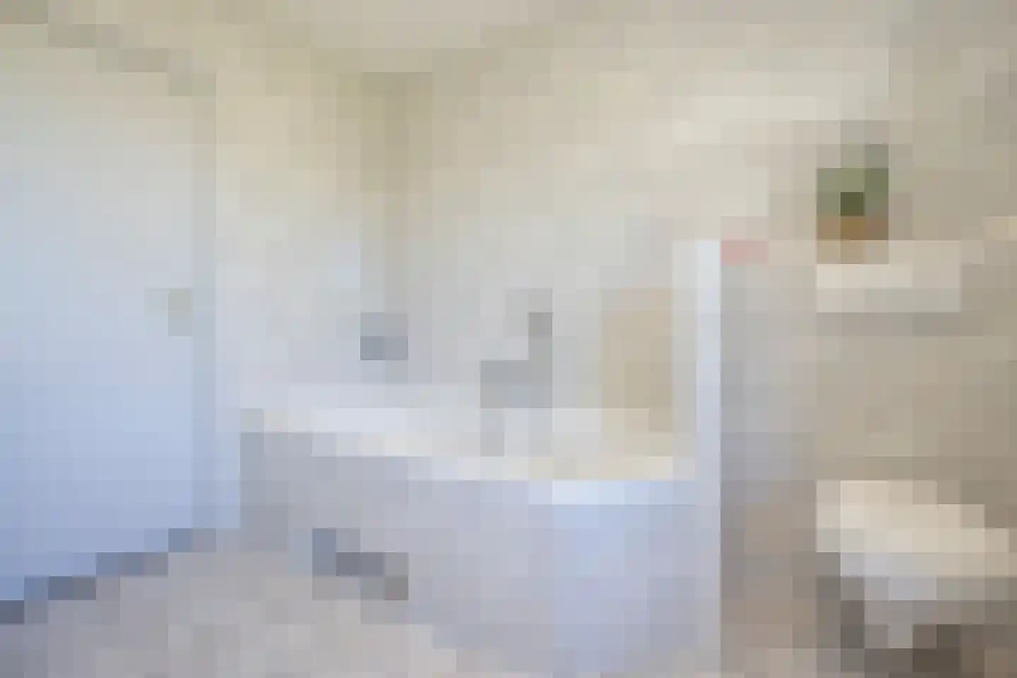 Holleneind 3 Haaren thumbnail 31