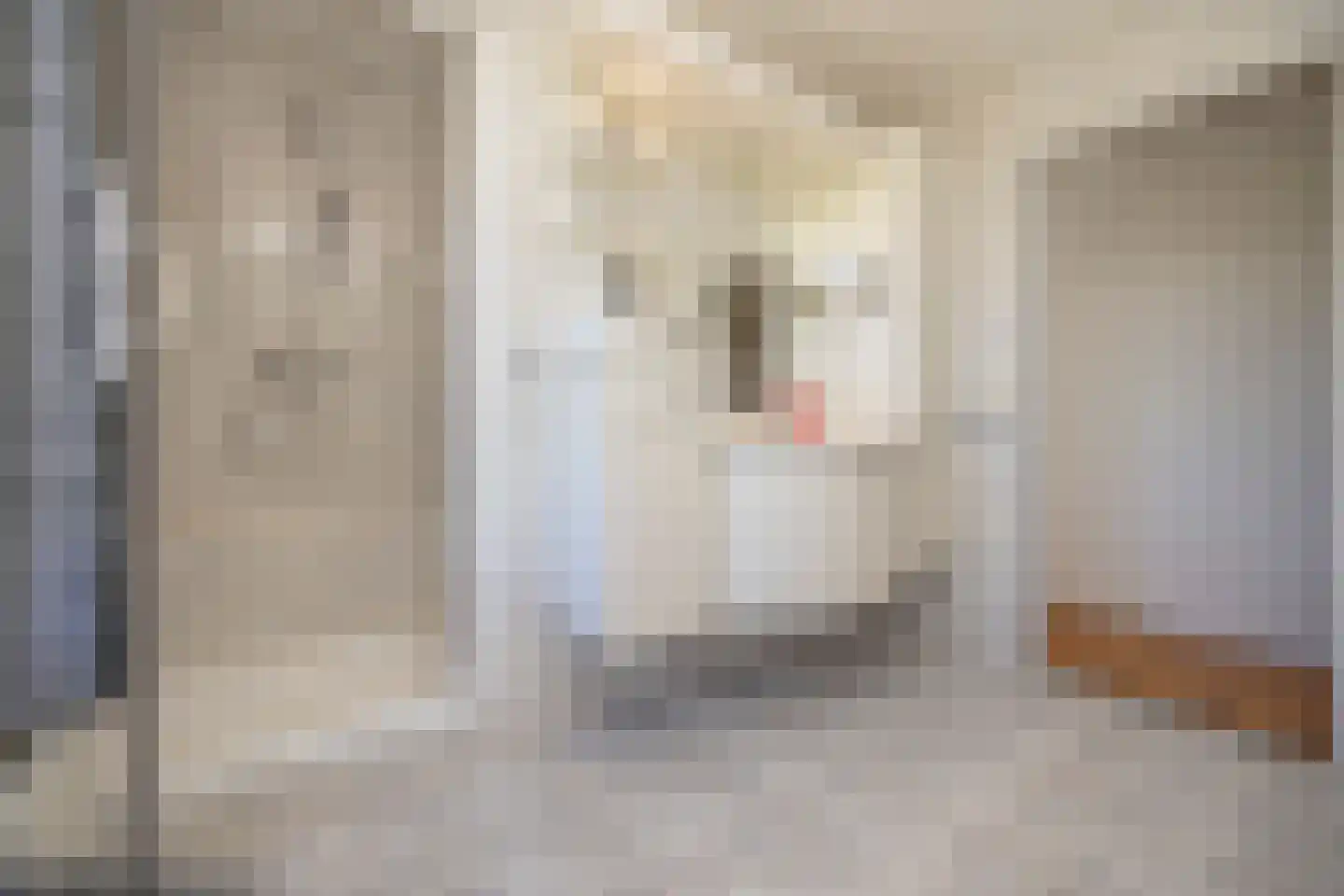 Holleneind 3 Haaren thumbnail 33