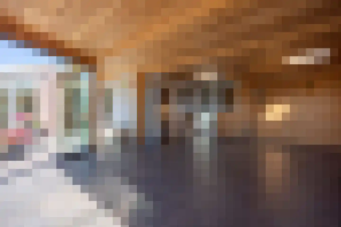 Holleneind 3 Haaren thumbnail 43