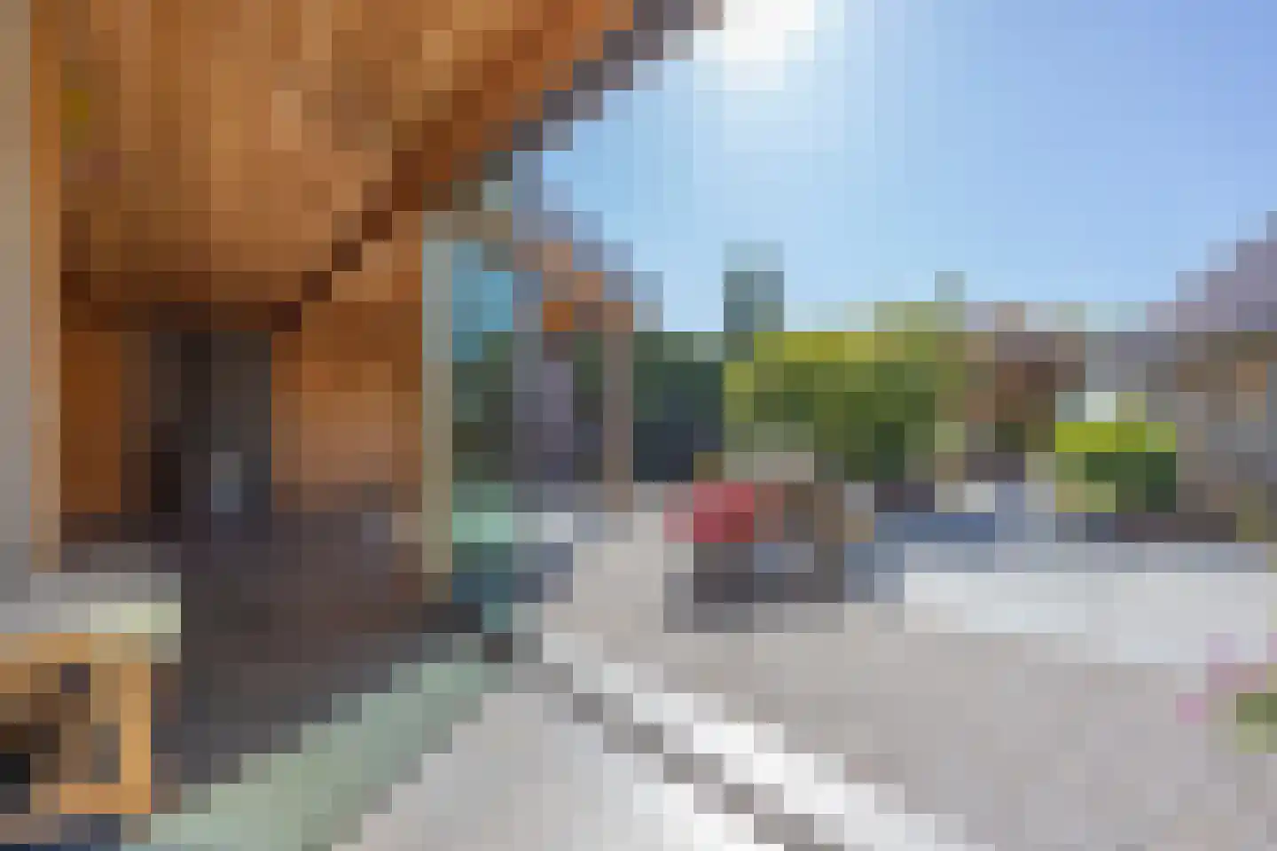 Holleneind 3 Haaren thumbnail 45