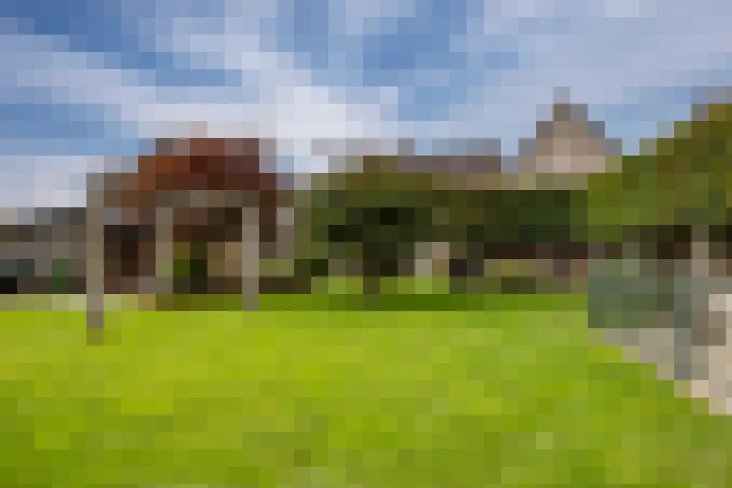 Holleneind 3 Haaren thumbnail 48