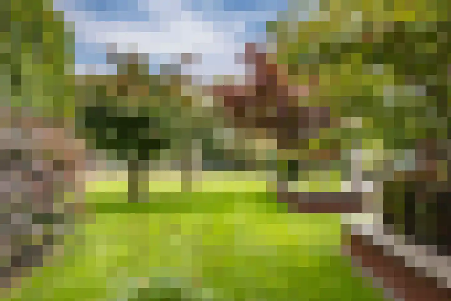 Holleneind 3 Haaren thumbnail 49