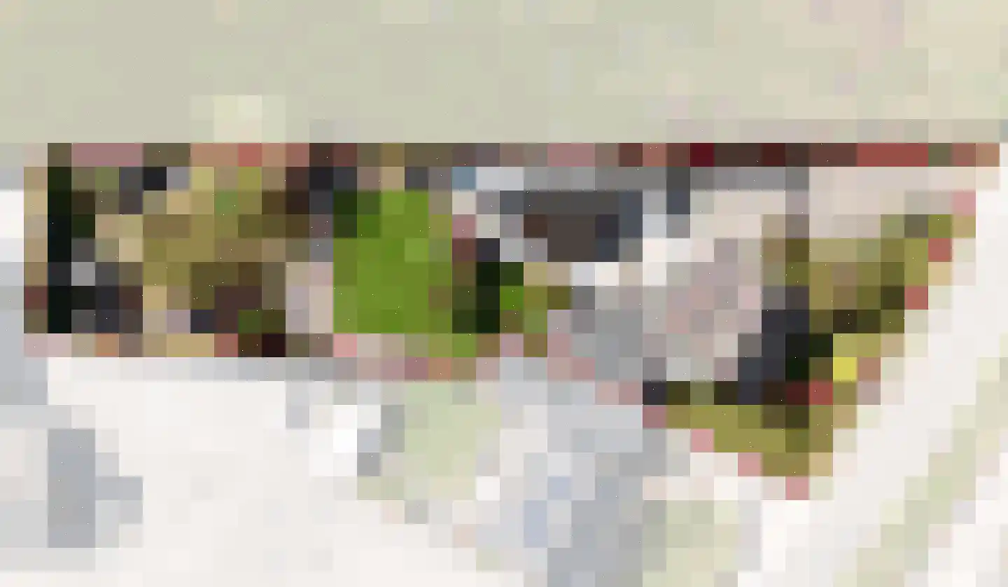 Holleneind 3 Haaren thumbnail 5