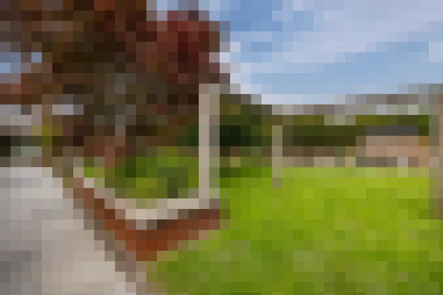 Holleneind 3 Haaren thumbnail 50