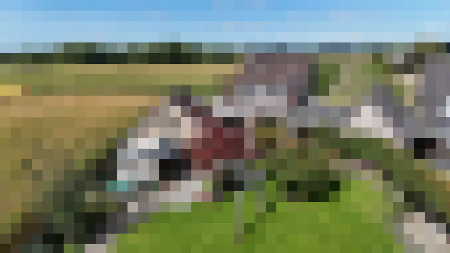 Holleneind 3 Haaren thumbnail 6