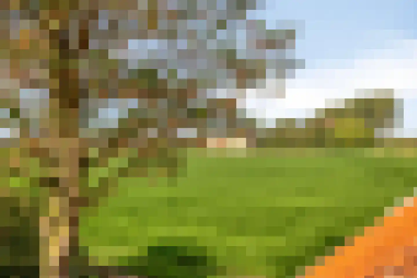 Hollepoldersedijk 12 Borssele thumbnail 28