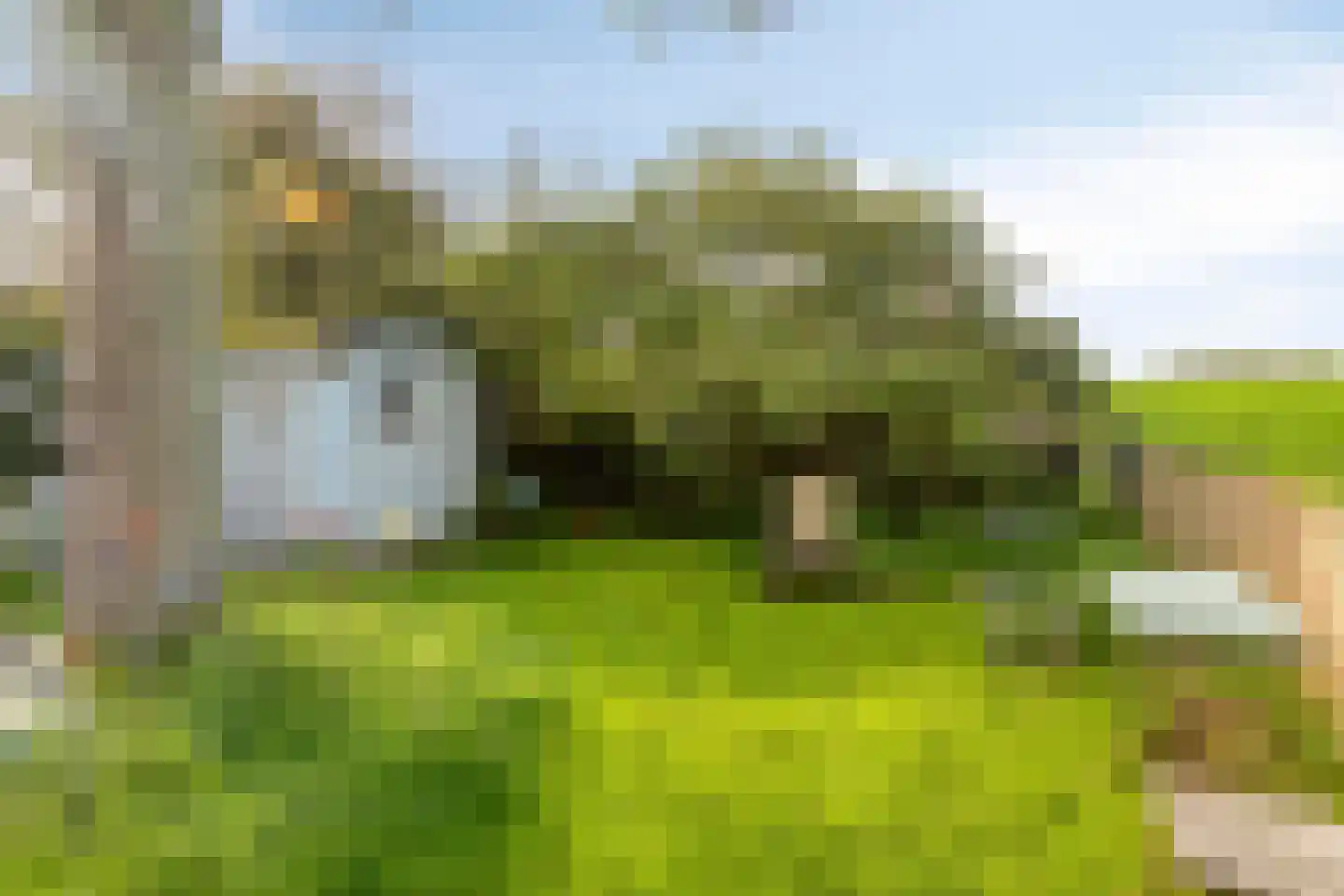 Hollepoldersedijk 12 Borssele thumbnail 31