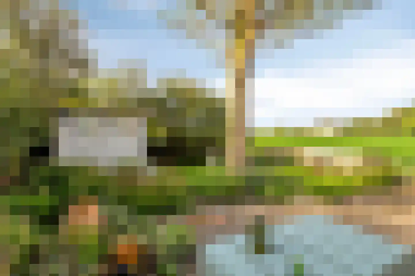 Hollepoldersedijk 12 Borssele thumbnail 32
