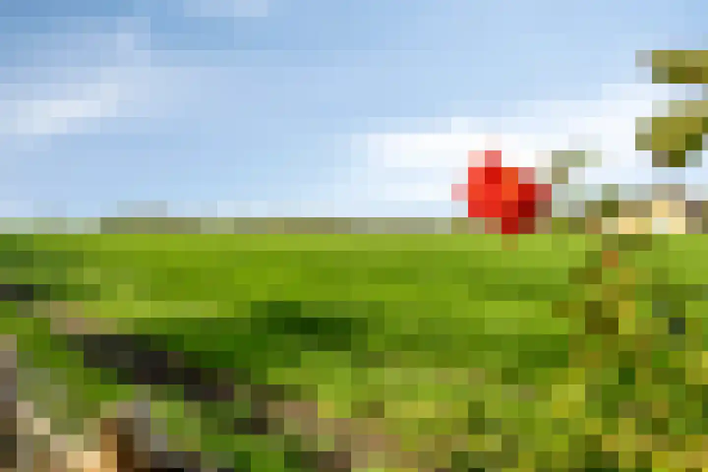 Hollepoldersedijk 12 Borssele thumbnail 35