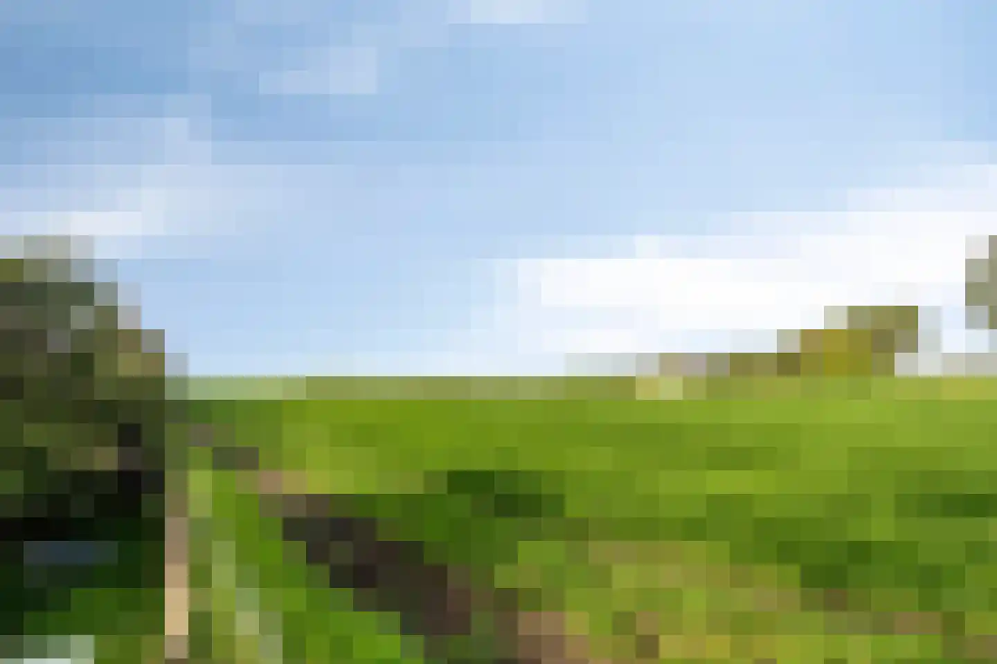 Hollepoldersedijk 12 Borssele thumbnail 36