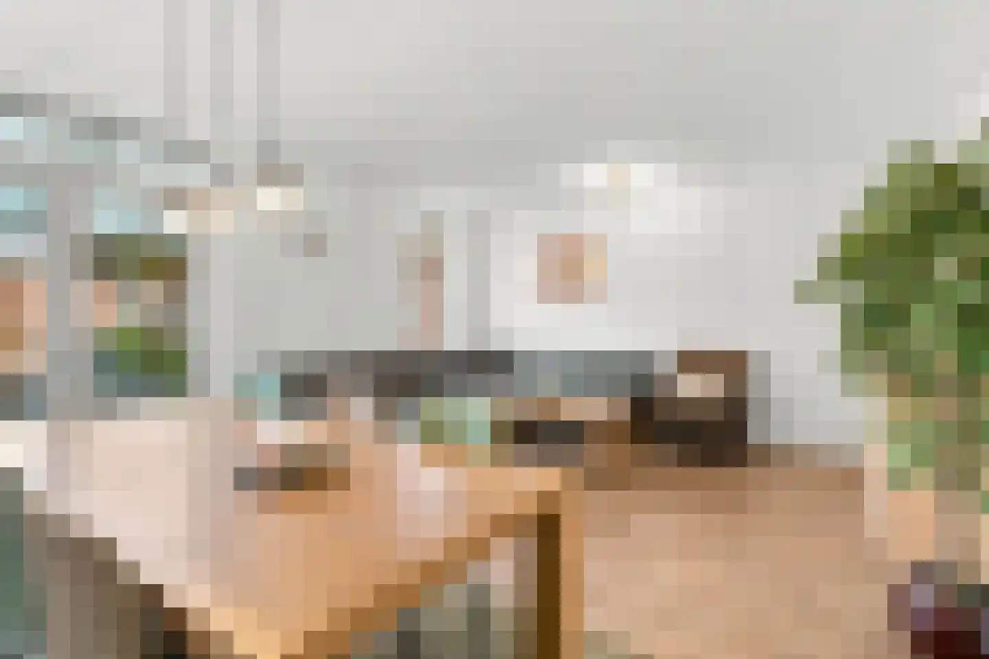 Hollesteeg 11 Boxmeer thumbnail 12