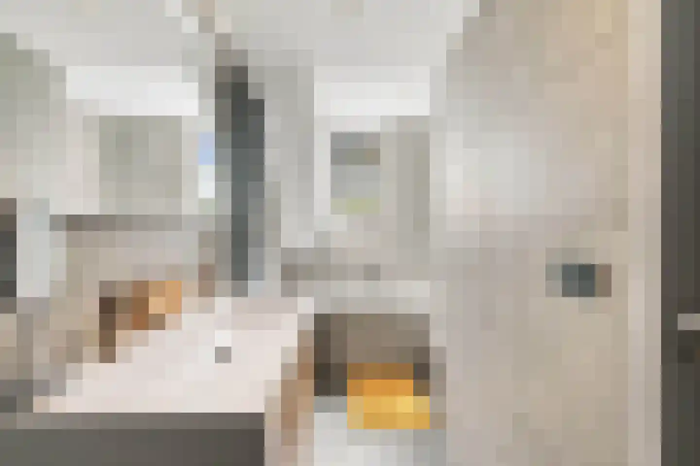 Hollesteeg 11 Boxmeer thumbnail 19