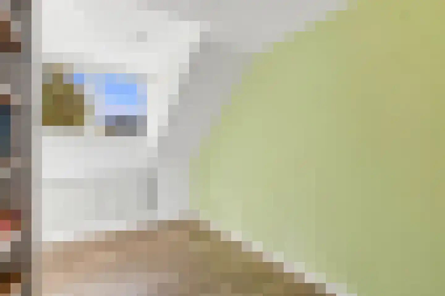 Hollesteeg 11 Boxmeer thumbnail 22