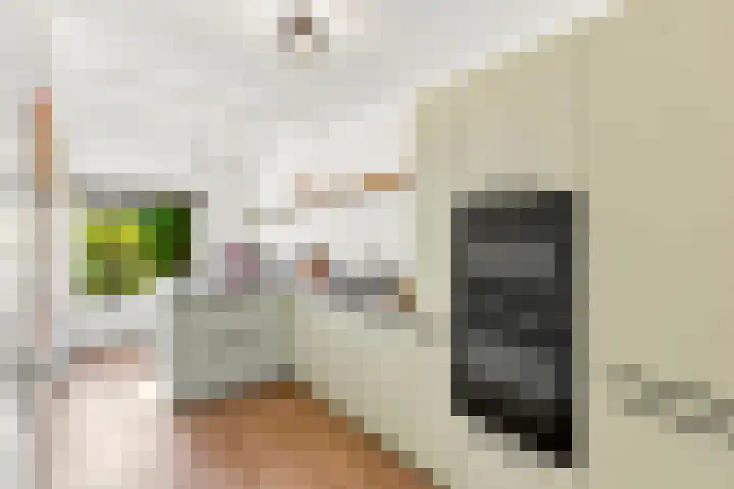 Hollesteeg 11 Boxmeer thumbnail 5