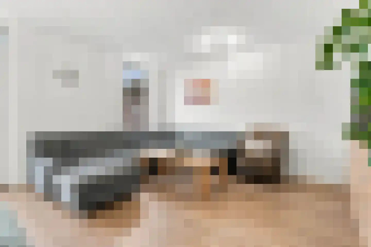 Hollesteeg 11 Boxmeer thumbnail 9
