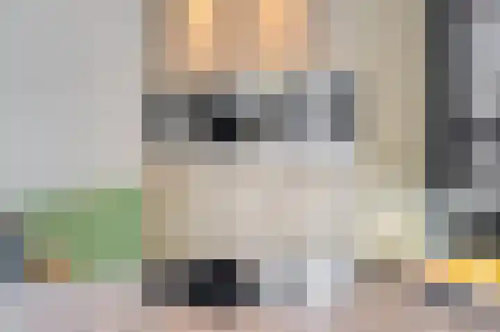 Hollesteeg 6 Boxmeer thumbnail 12